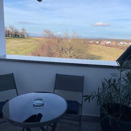 קארלובץ Vila Milka - Balkon - Besplatan Parking - Samostalna Prijava מראה חיצוני תמונה